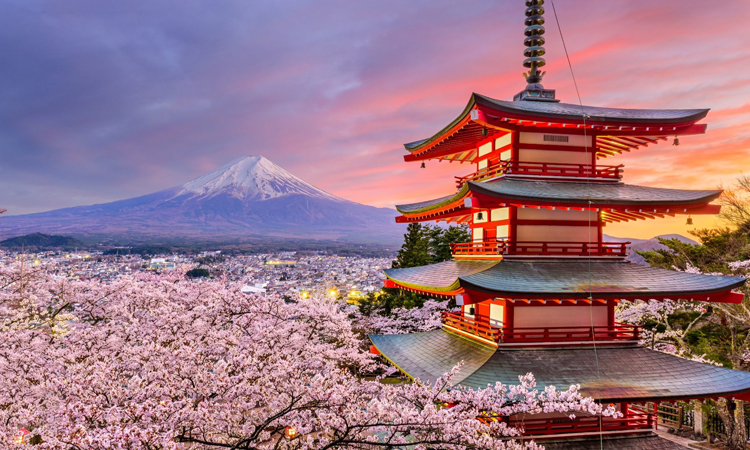 Japan Tokyo & Beyond Holiday Experience